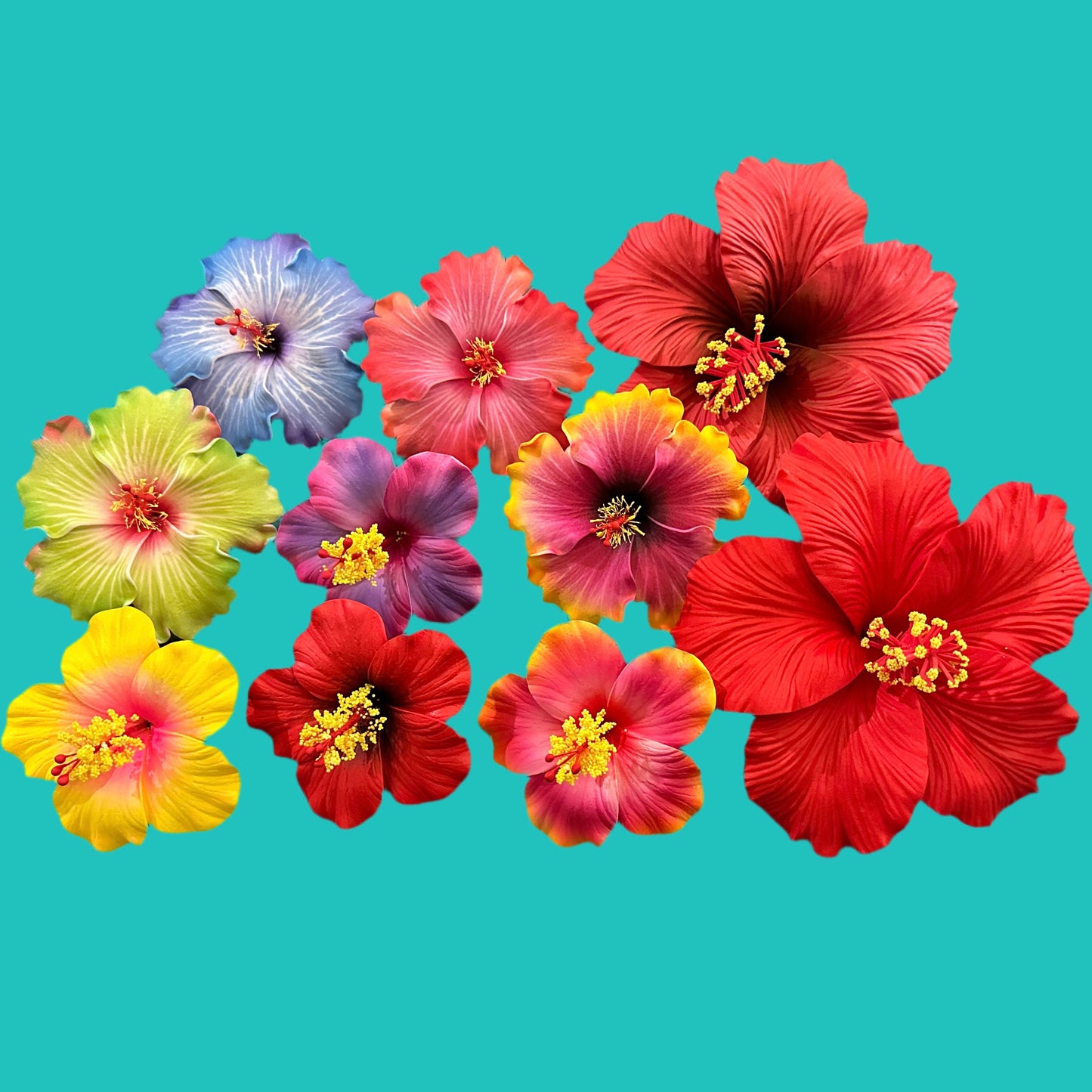 Flower Bundle (Hibiscus)