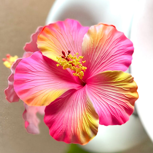 Hibiscus (11 CM)