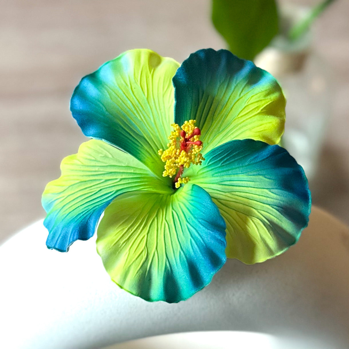 Hibiscus (11 CM)