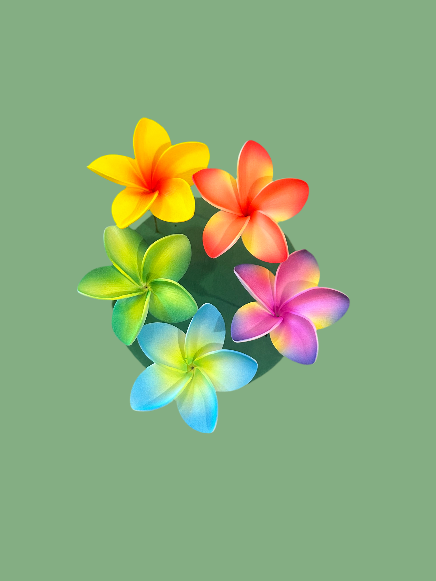 Plumeria Bundle