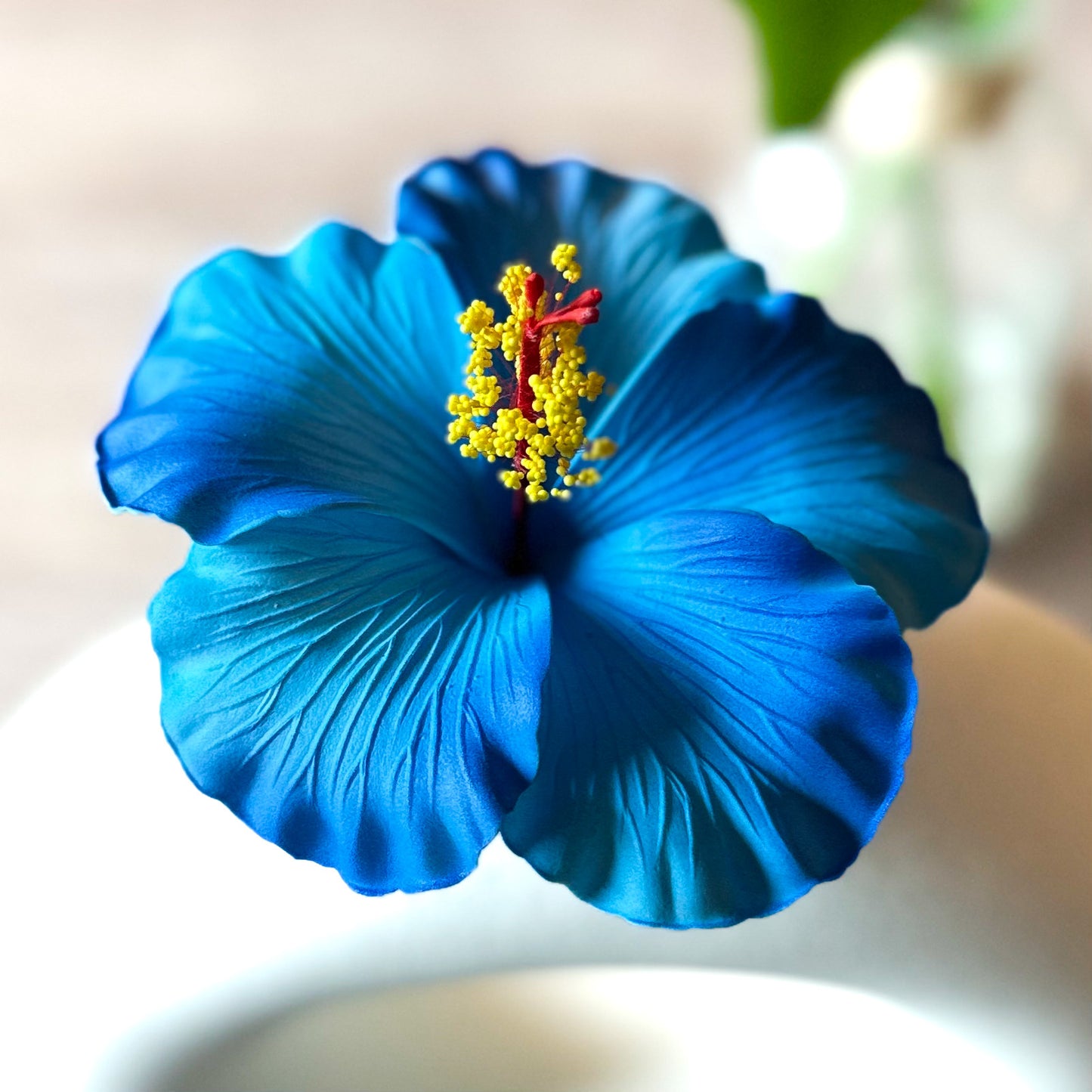 Hibiscus (11 CM)