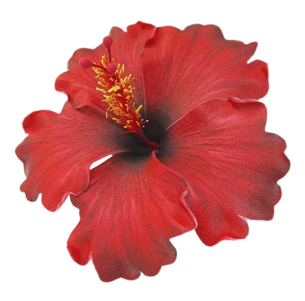 Red Hibiscus (10 CM)