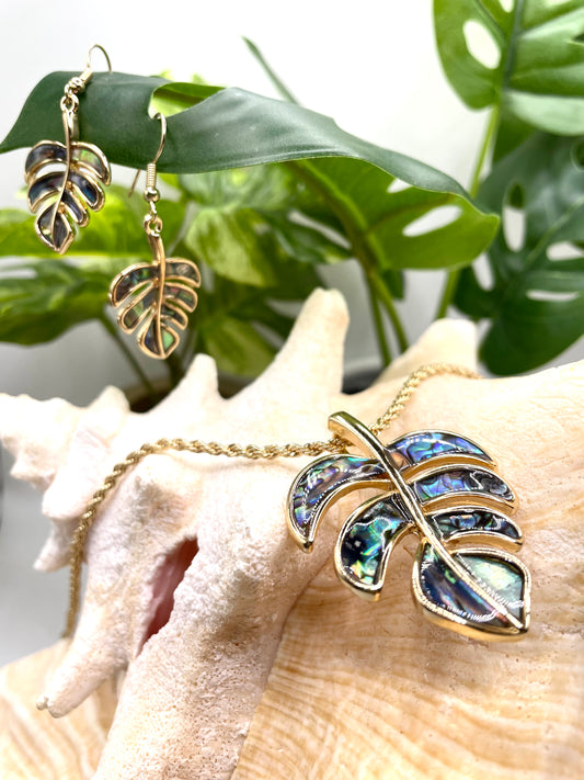 Monstera Paua Set