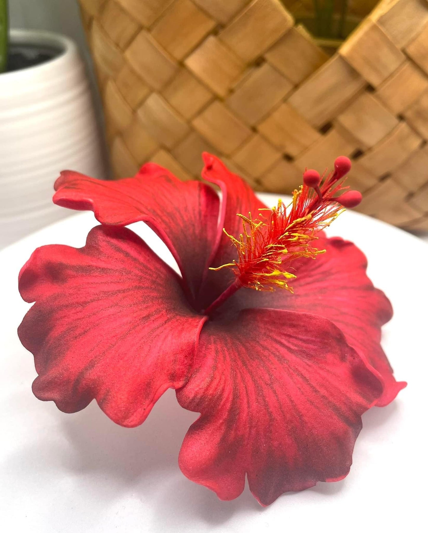 Red Hibiscus (10 CM)